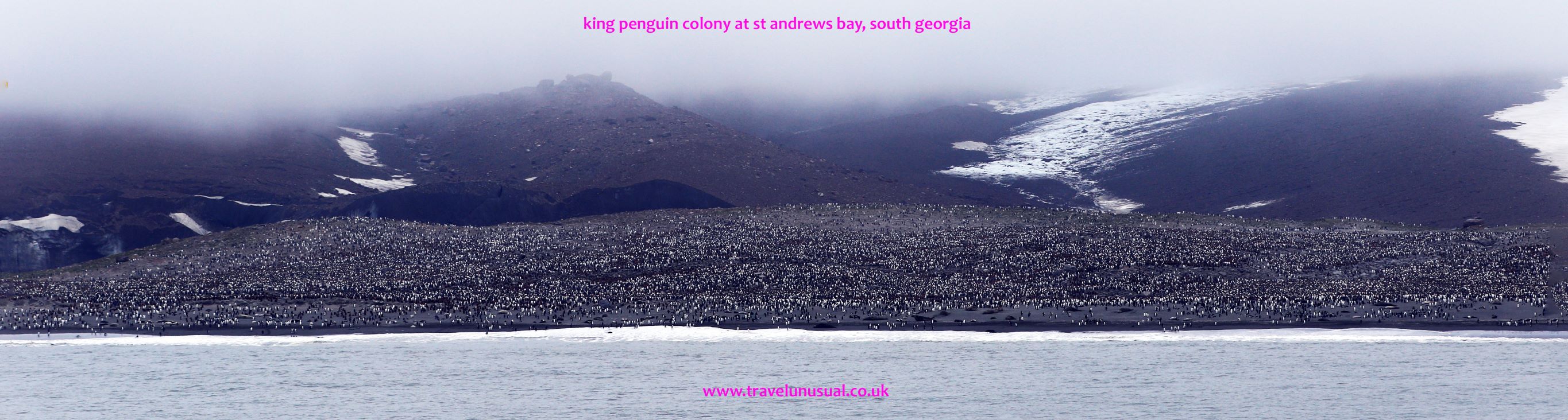 Final destination Antarctica-St Andrews Bay-South Georgia